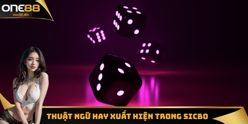 Danh sách các thuật ngữ hay xuất hiện trong Sicbo